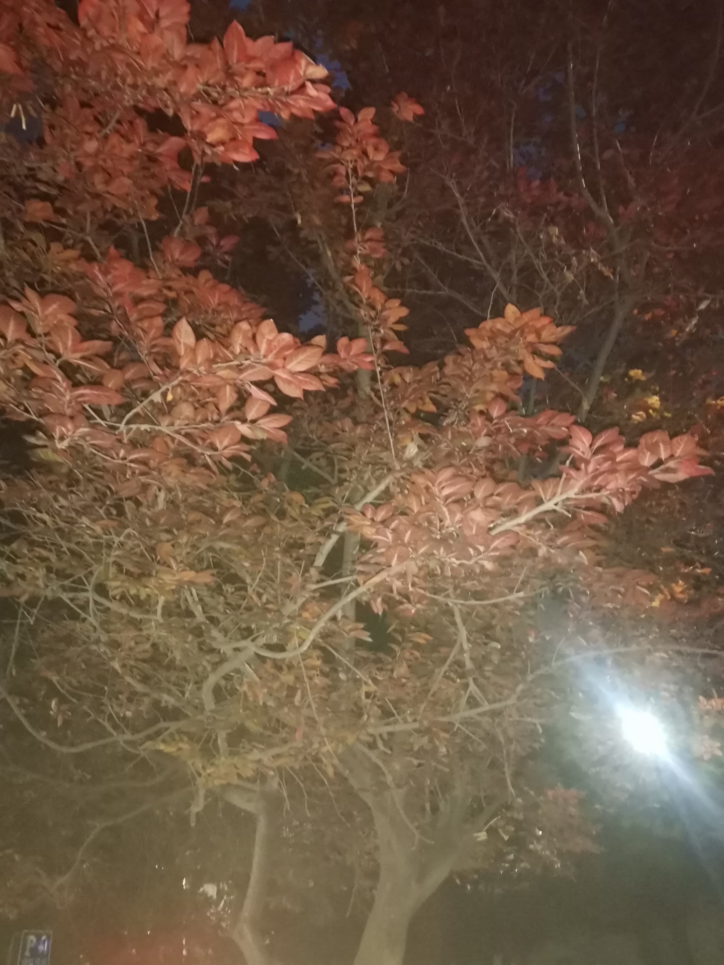 20220512213325front2_0_10610_FtAcVNuIPzD2Gr4aCLgguGApKEa_.jpg