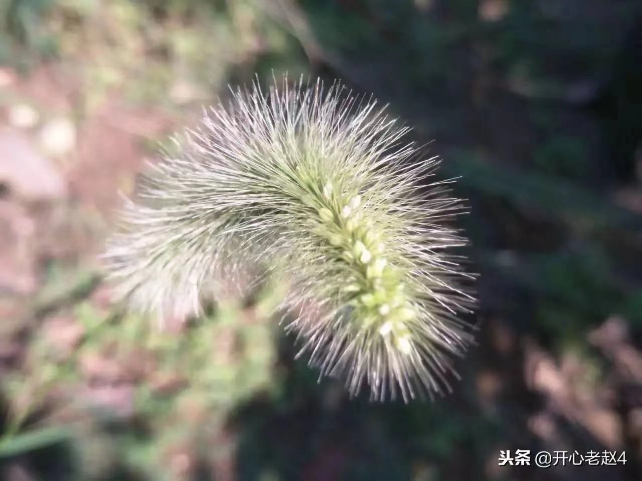 20220521083039front2_0_10610_FlmwmoEgvKAwu-AVI2zhB23_wsZj.jpg