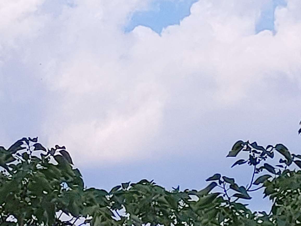 20220522191506front2_0_47223_Fh_bJxqvk4uv268sSCT7IunCm4b5.jpg