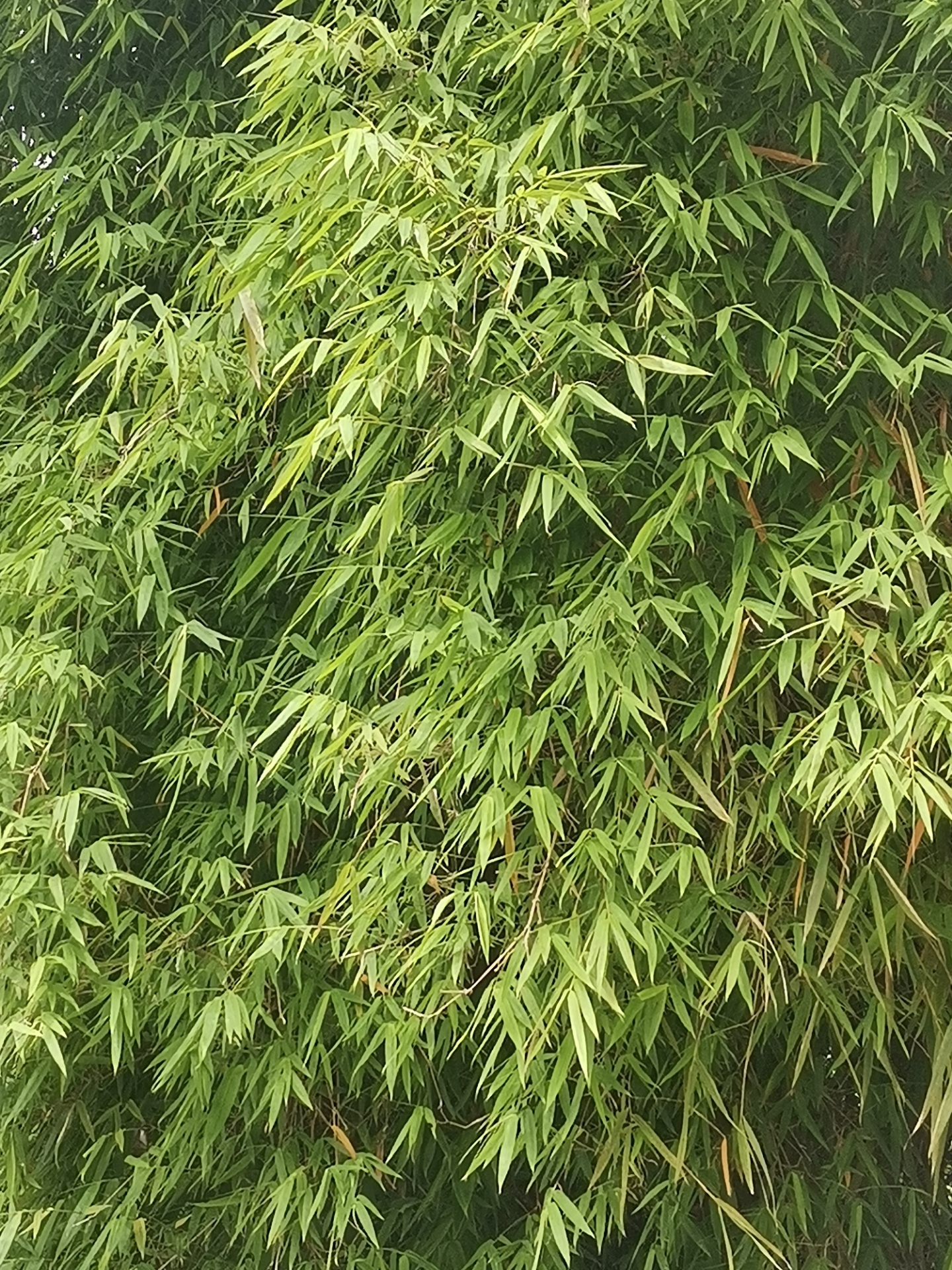 20220612222855front2_0_10610_FuAKWVKTCnpVqcHC6Cf2cCA7gev4.jpg