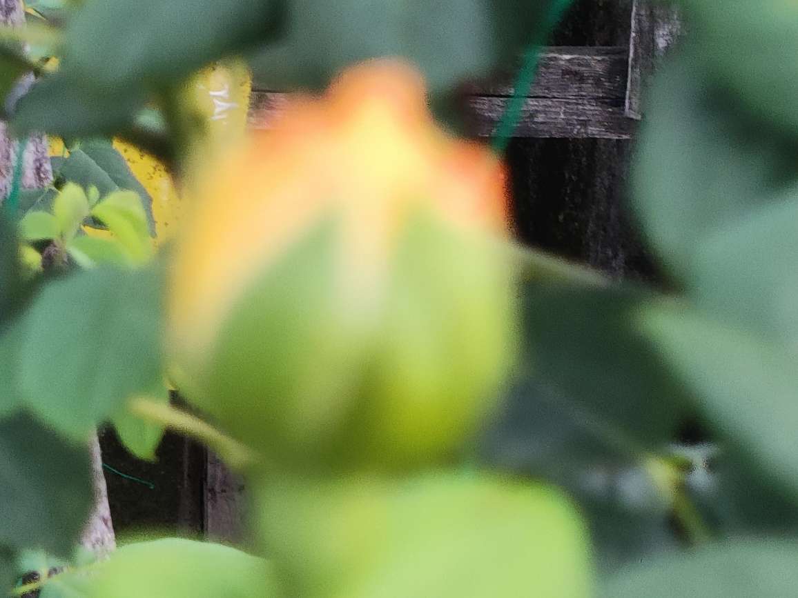 20220616230112front2_0_47223_FideW68JnB4SQOHcN2Wb99GTHBEf.jpg