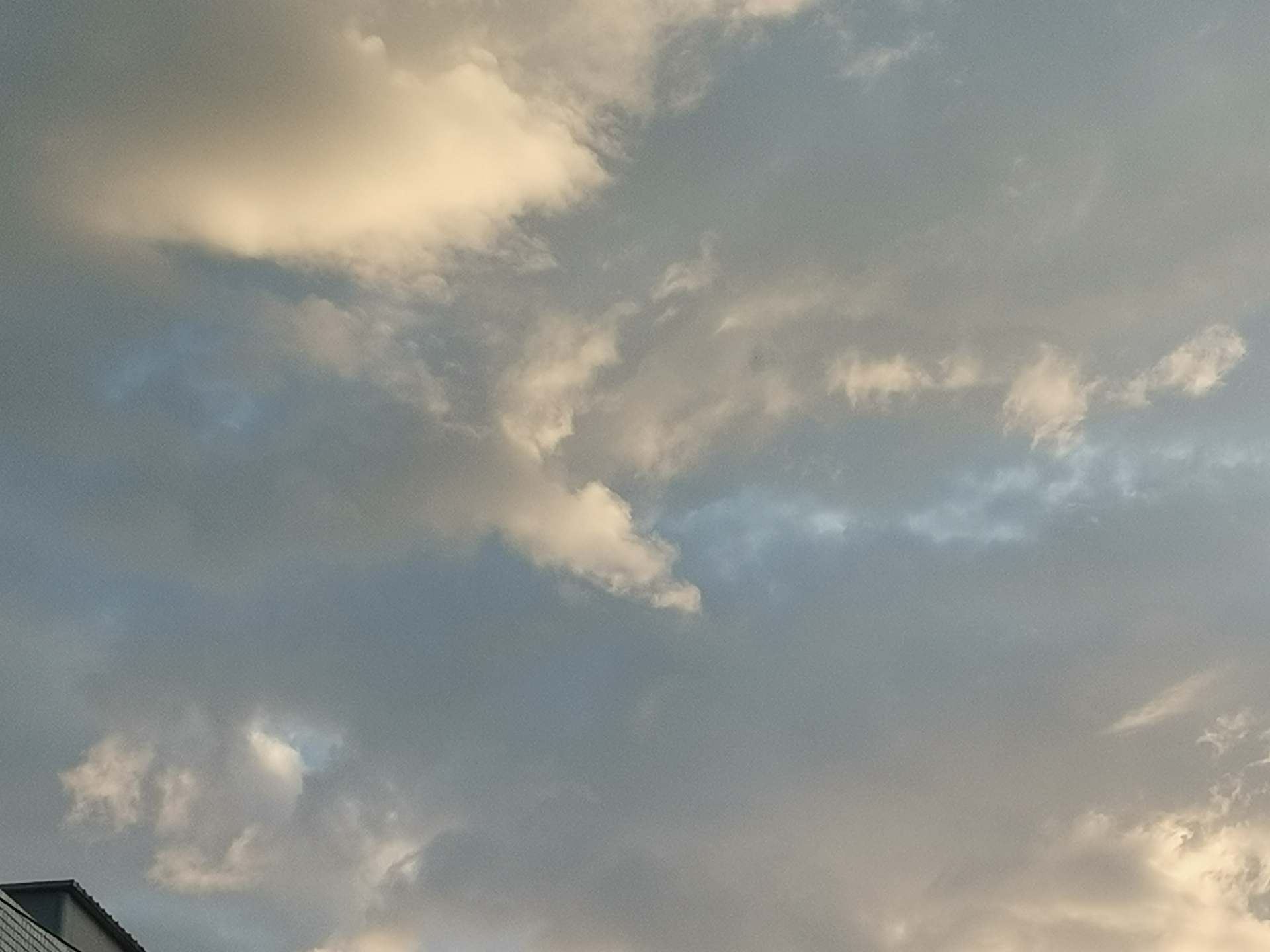 20220617070431front2_0_10610_Ft9IGXF6M_IMfm46h7DvcOkHWpaF.jpg