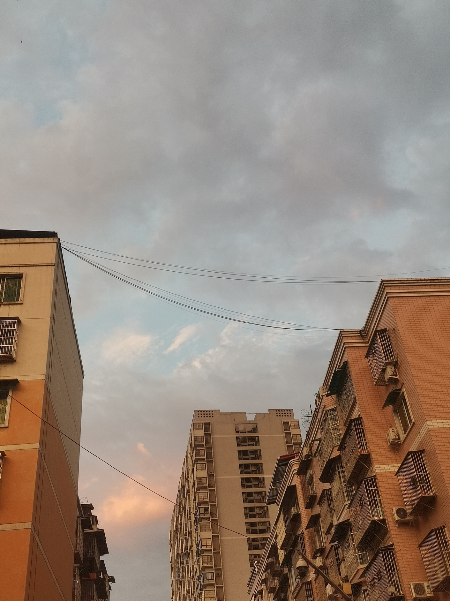 20220617070441front2_0_10610_Flqb2Wap1Xn4UOQYCAgJHXL8vErU.jpg