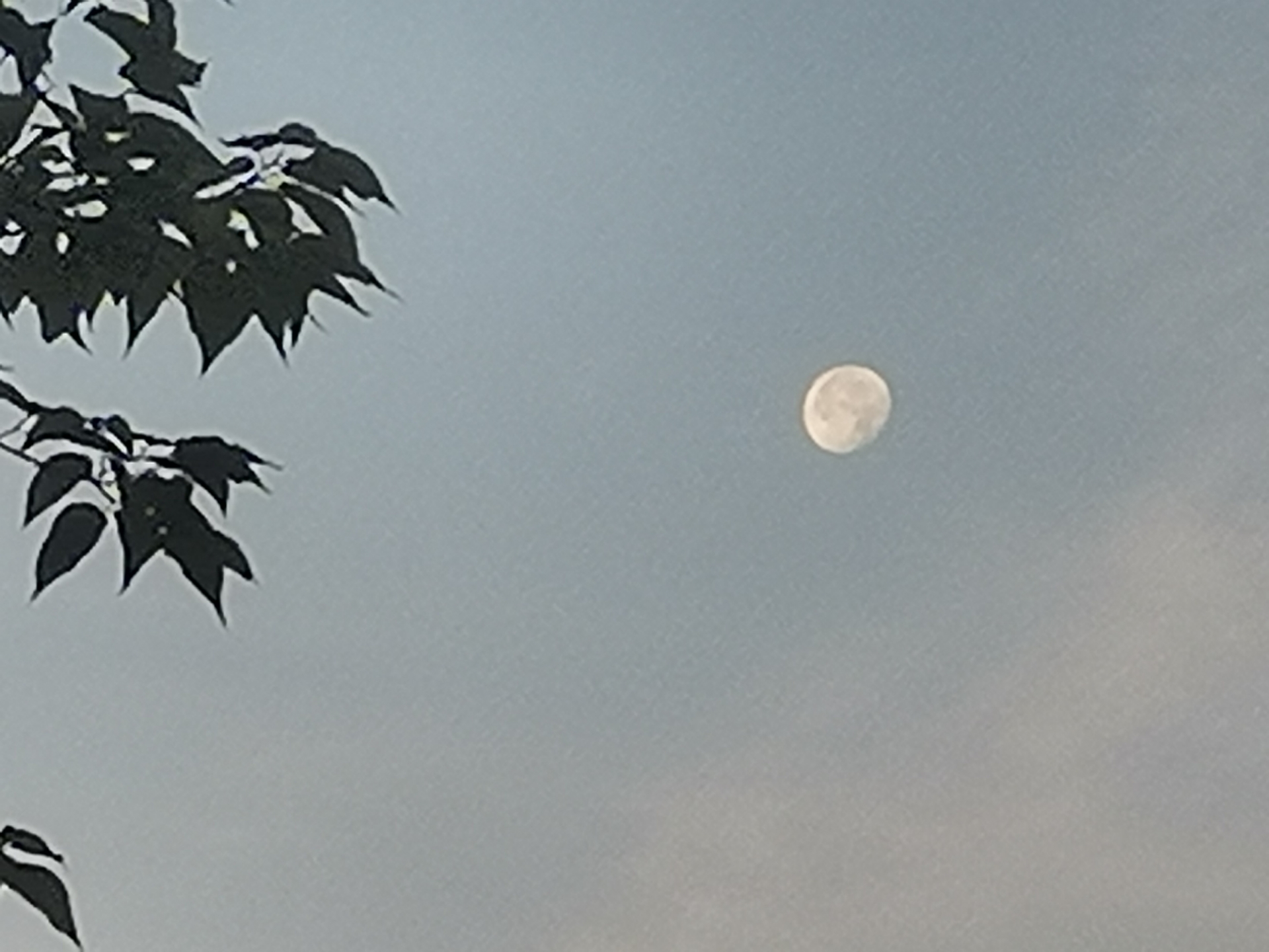 20220617071531front2_0_10610_FtG6lyN--ROr65bL_9vxSIVZsIB8.jpg