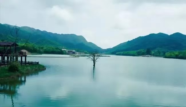 20220619072116front2_0_6343_FnIjkgkV6GllWRa2xfurFVWfzq1d.jpg