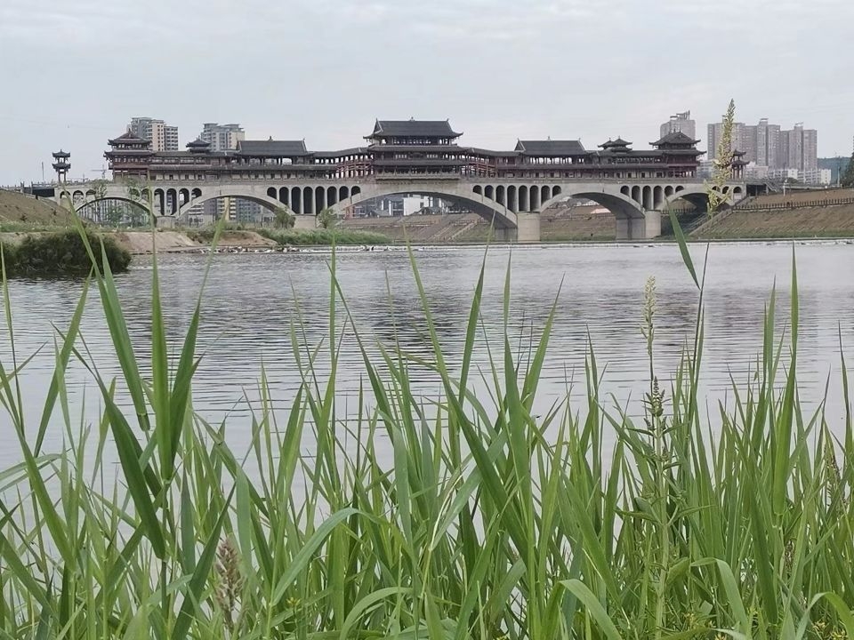 20220622063250front2_0_10610_Frm2f6TMGCds4zKd9fq0eVRLZXrJ.jpg