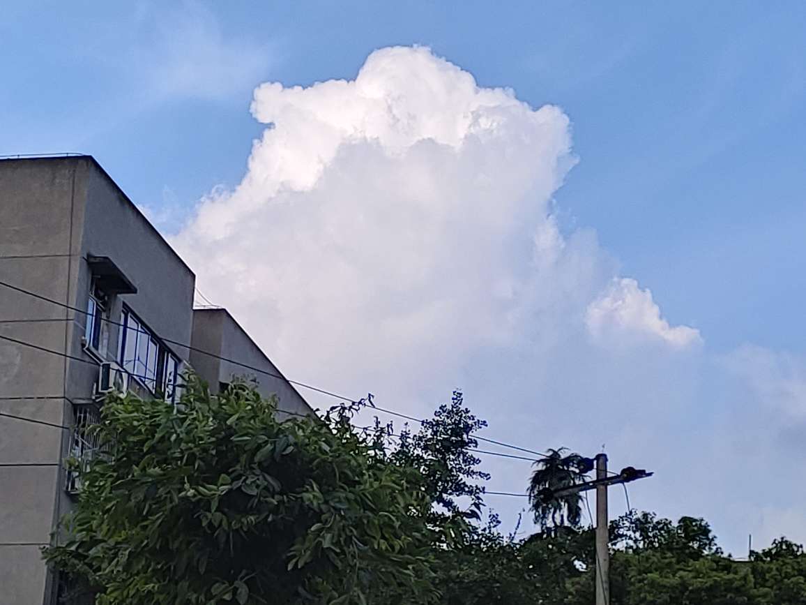 20220624193635front2_0_47223_Fr_hJUeeZWo7PsoII1eH7dMQyODE.jpg