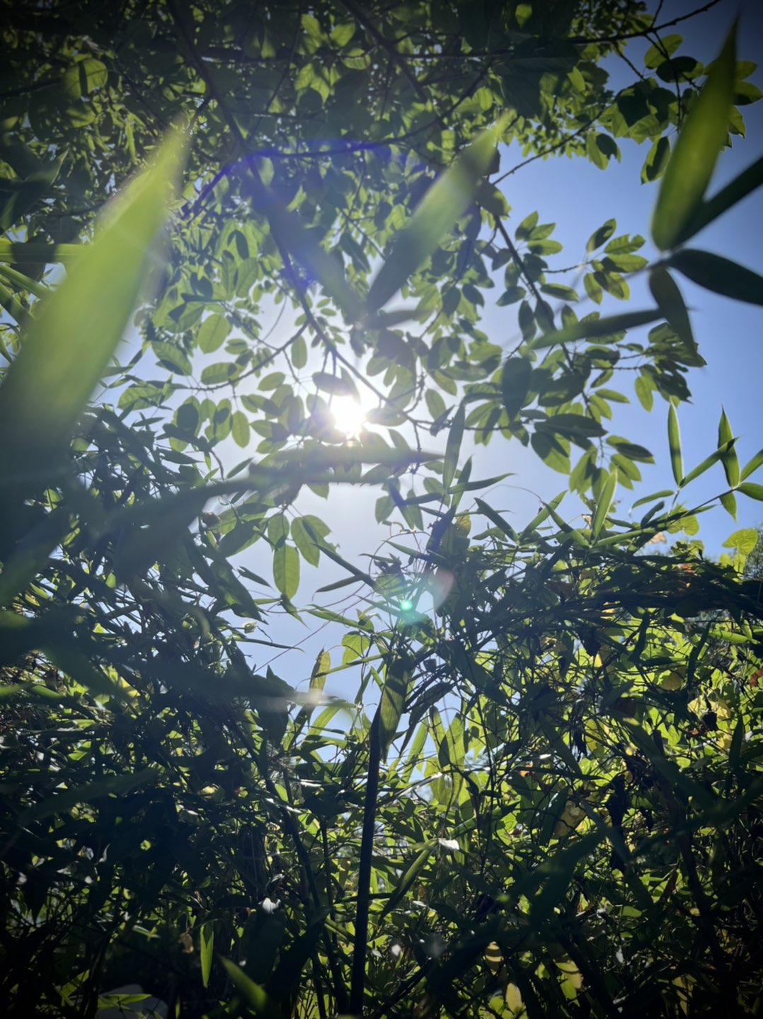20220701103634front1_0_32715_Fgv1Gk8QeuMAcUzlL9J6MJT_amD8.jpg