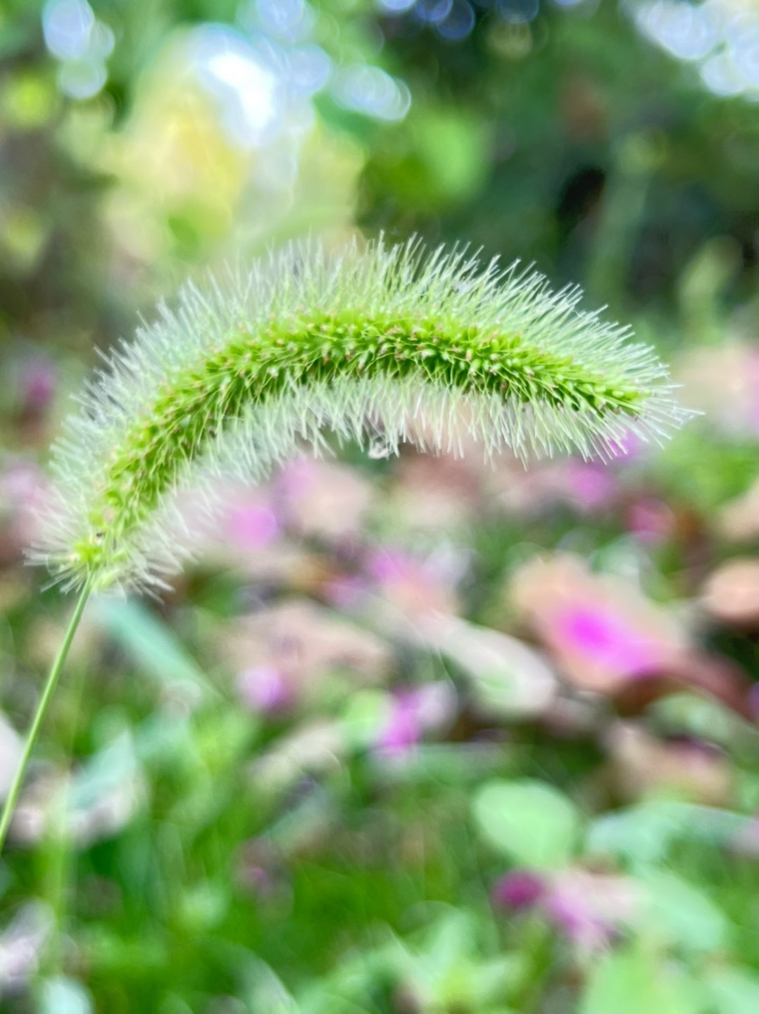 20220707104356front1_0_32715_Fivo-2HZuBzm-VrBKkJBI6L_It_y.jpg