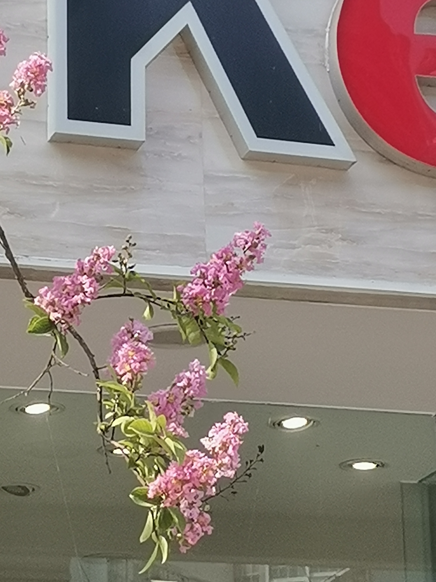 20220708193031front2_0_10610_Fn02U0TJS_P5IquSohww_vNJKPz-.jpg
