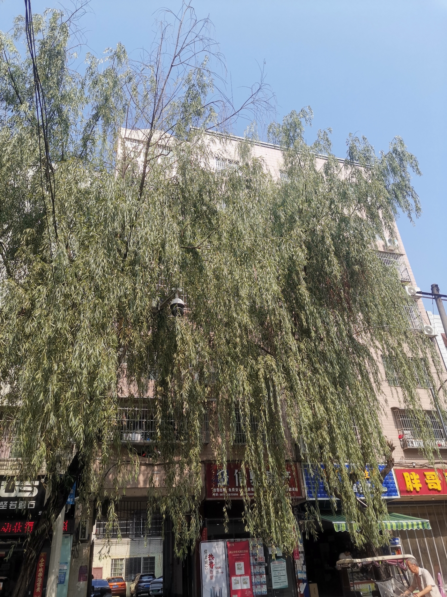 20220708193040front2_0_10610_FsT7mPioaZZ12nJ5mYxt6NsTMScM.jpg