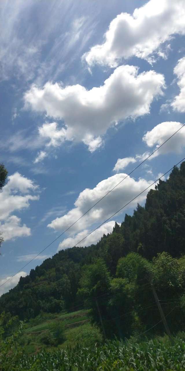 20220716191302front2_0_10610_FtGnCX_ab9ntxDskYK9po61XqYvZ.jpg