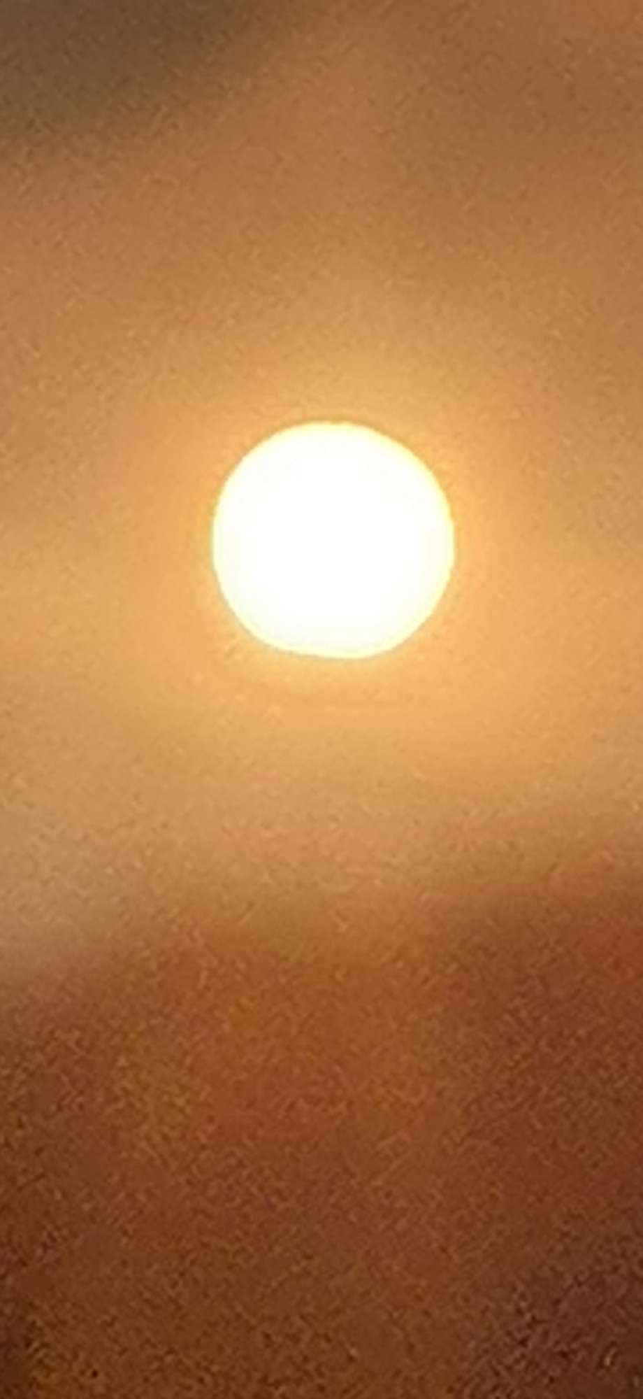 20220802203705front2_0_10610_Fn-KIjlEt9nNekaCiYs6P7DbIfHq.jpg