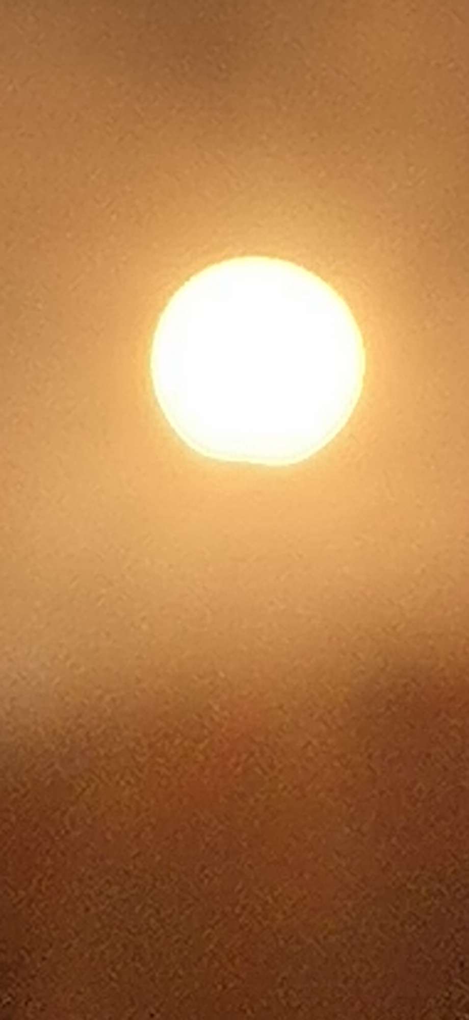 20220802203705front2_0_10610_FnGexyWyE1UPztran2mFrgfssXeQ.jpg