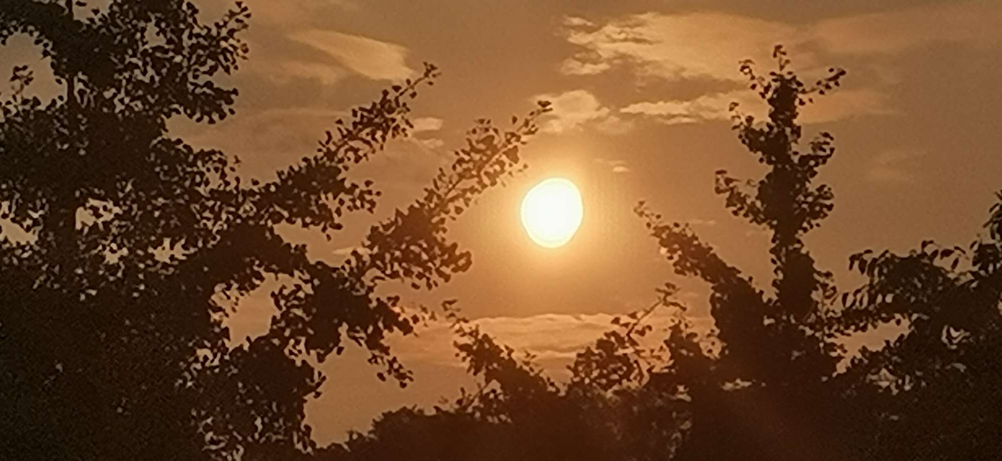 20220802203706front2_0_10610_FiD1RRw5Sce1JwpzAIrbos75hXo6.jpg