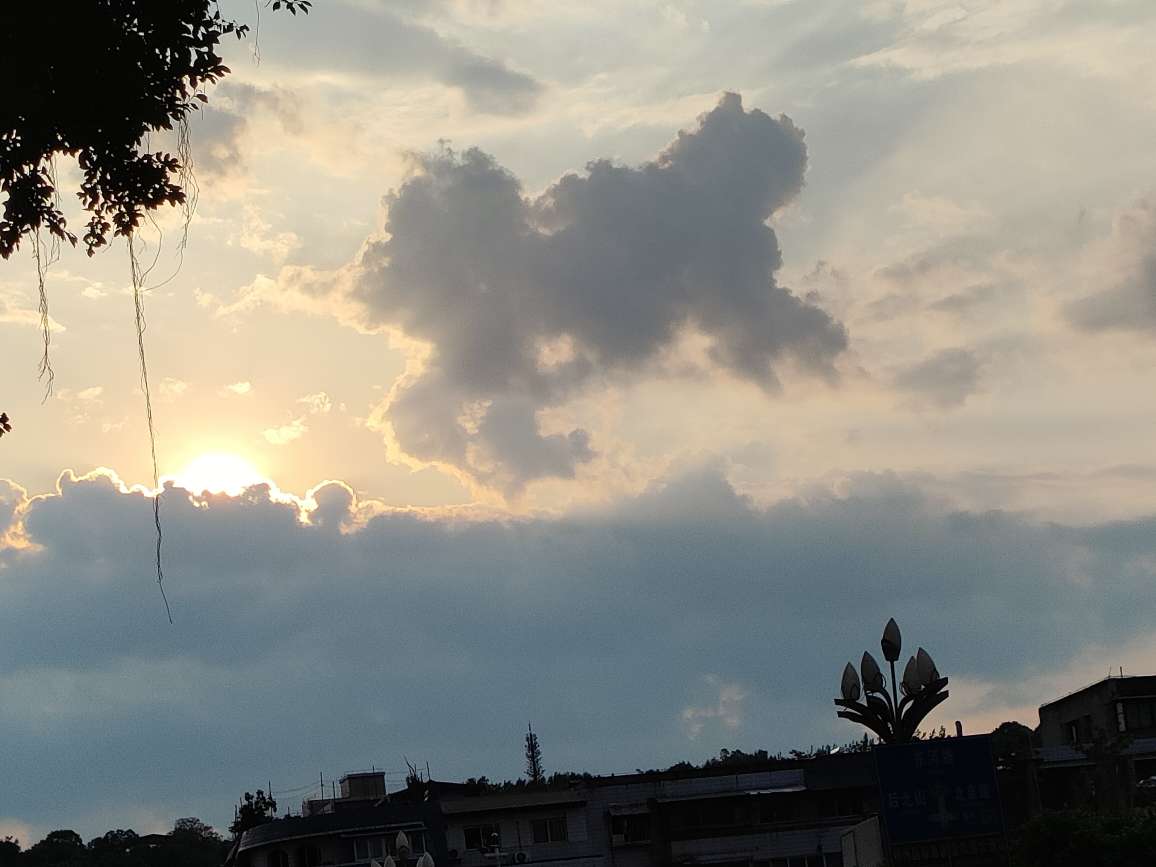 20220809215738front2_0_47223_Fr8oPXvqwj6UZ0HBCByr37zfilYC.jpg