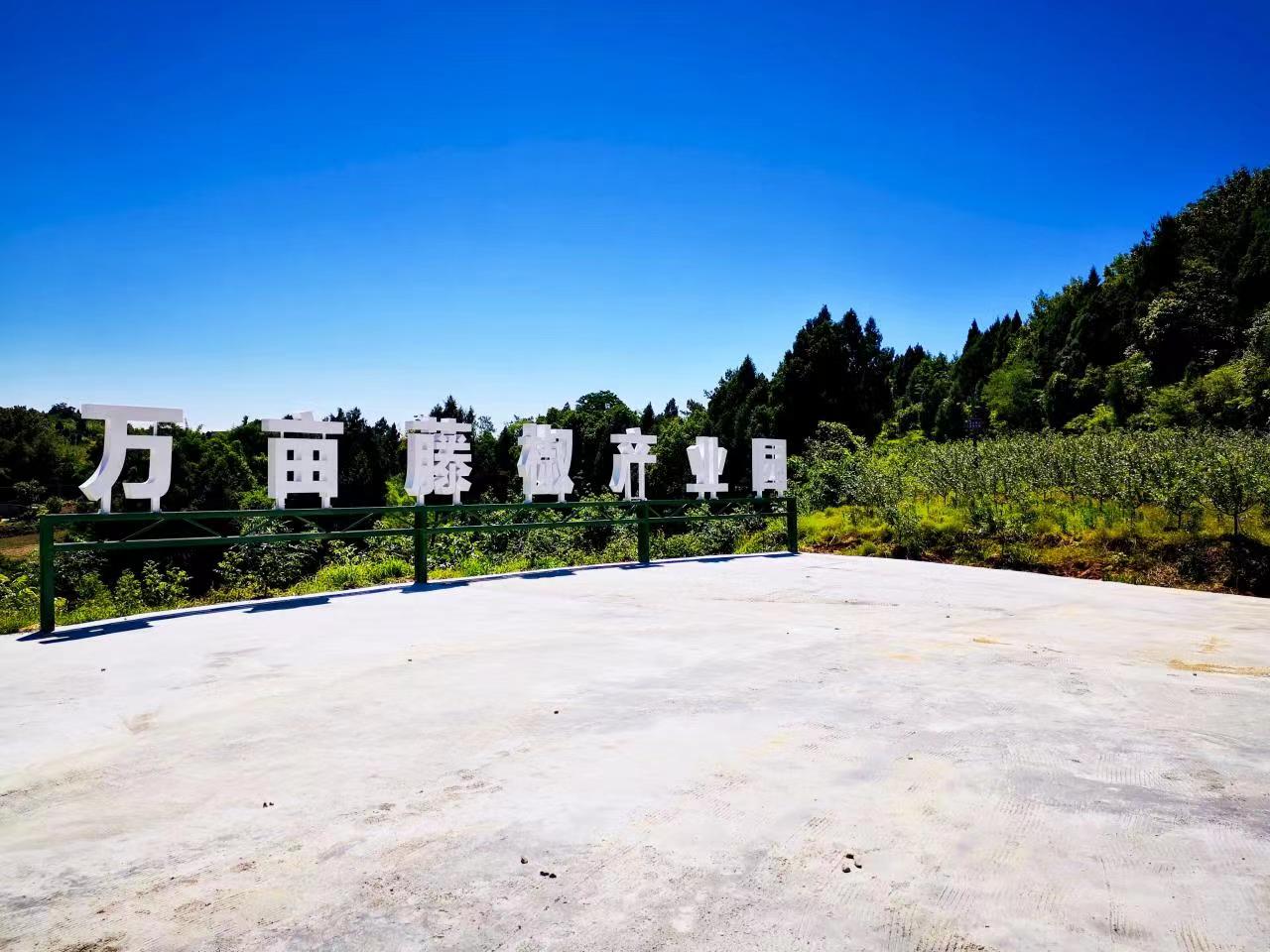 微信图片_20220811083054.jpg