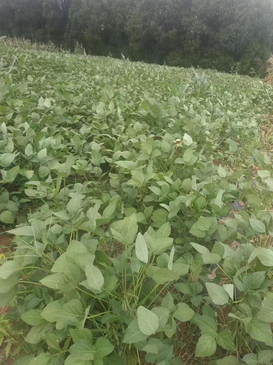 微信图片_20220811083042.jpg