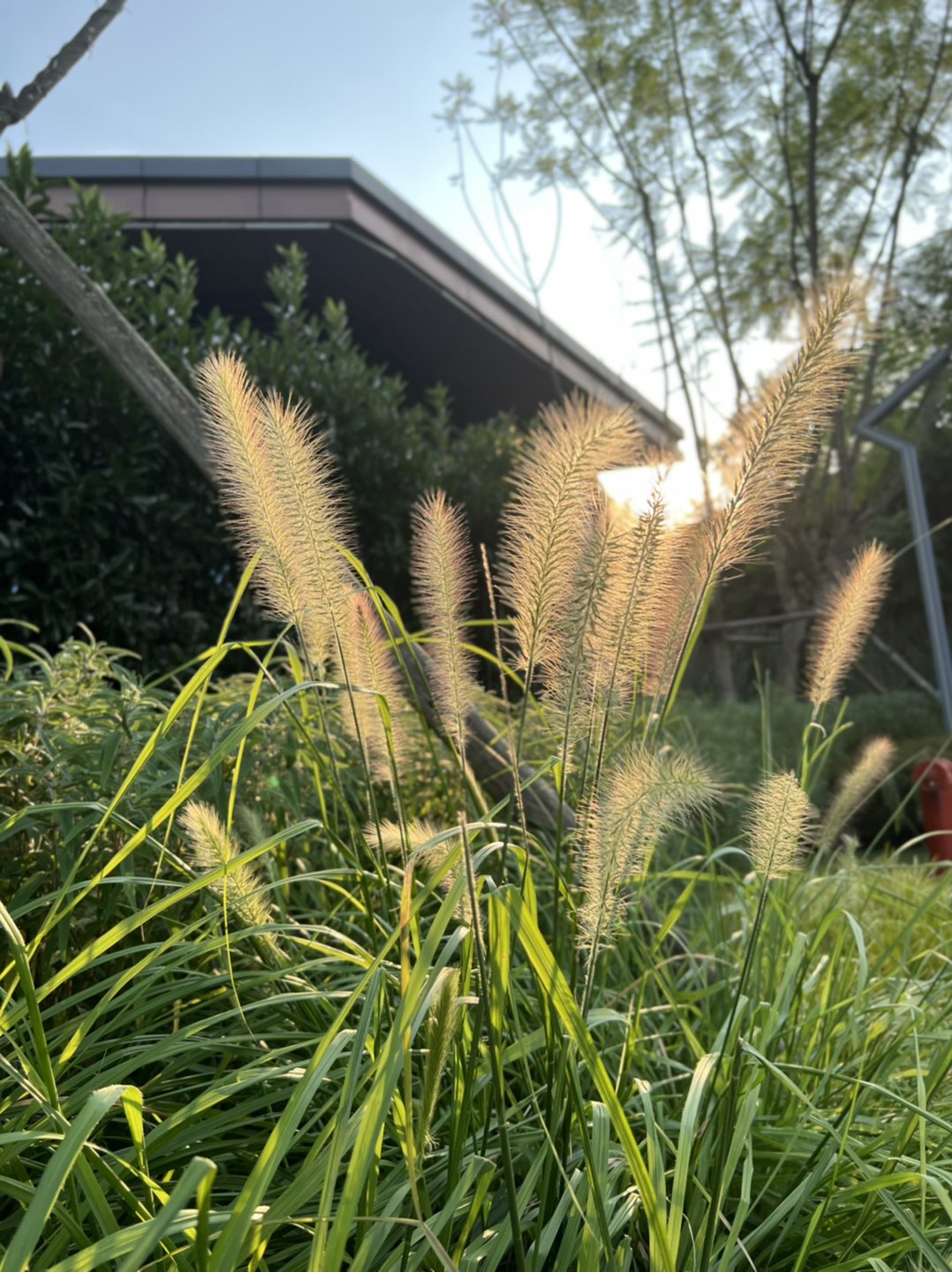 20220821191110front1_0_32715_Fnz7c9Cy3DqlyULq0tOk3yBgebKG.jpg