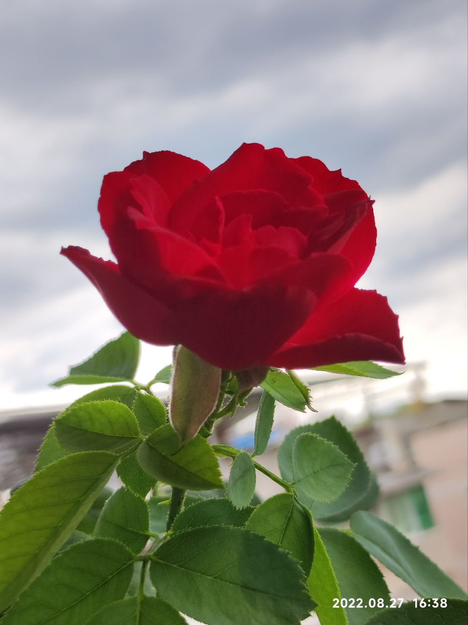 20220827170435front2_0_8833_Fut0jzYlHrE6vouh7E5Zn1JHizsR.jpg