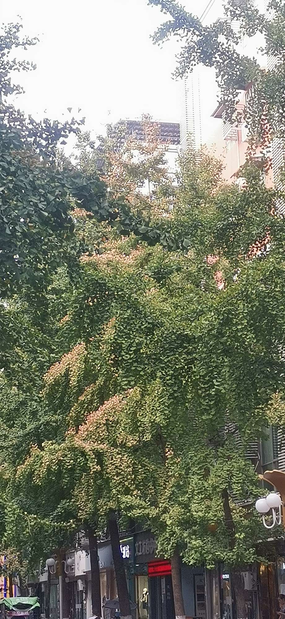 20220906184544front2_0_10610_FqLG1lc7tUinkeFInGztlQsk_Brh.jpg