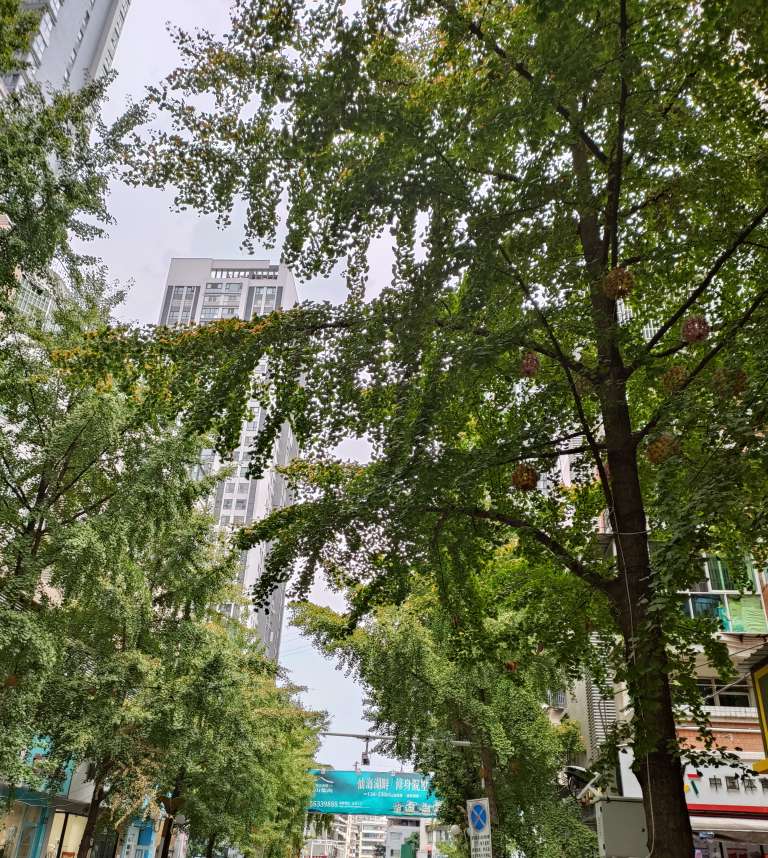 20220908214200front2_0_47223_FsBE_bZHQtvYaSSWZuHSLhRwHKjs.jpg