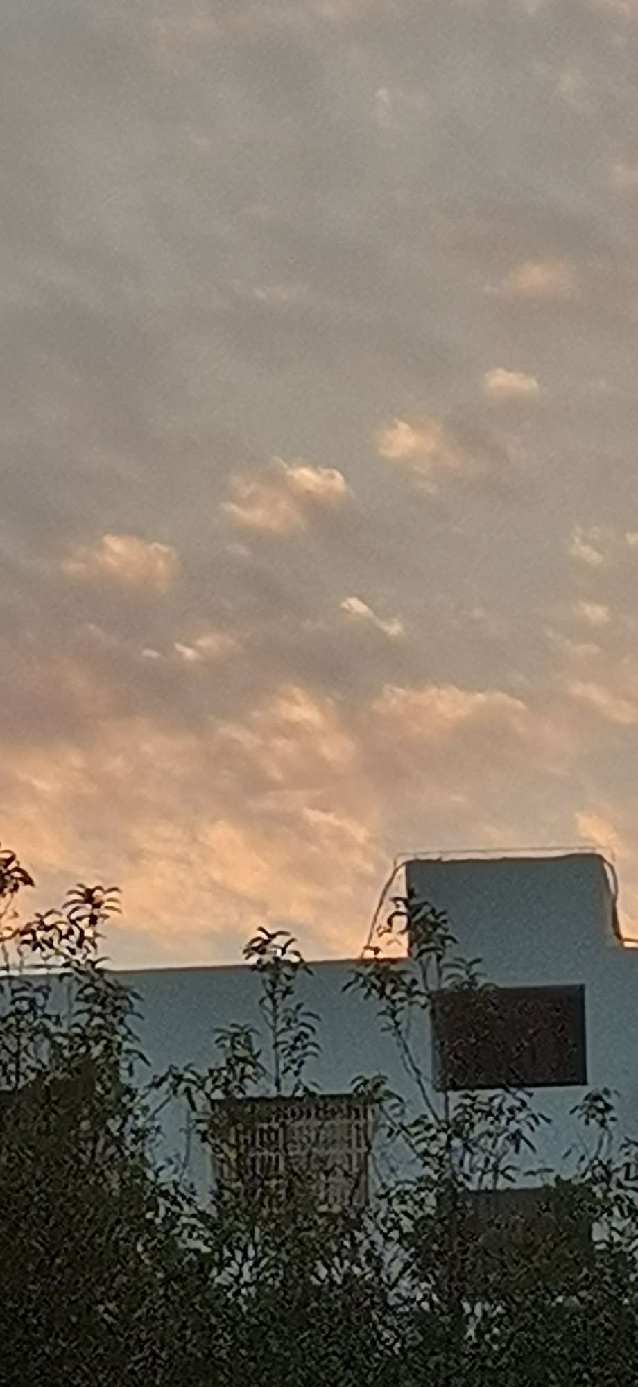 20220912201132front2_0_10610_FrImUmy8fRALjM93jW-FTDIPVoB0.jpg