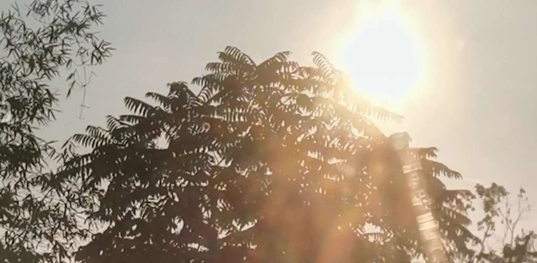 20220912201131front2_0_10610_FvNUSSyT6URx-op0fe6c_CQh3C57.jpg