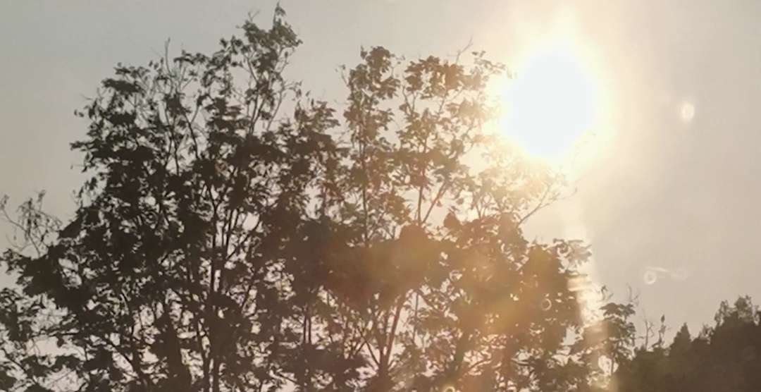 20220912201131front2_0_10610_FoMtglq7H4gCWbz0bWsHqiy9yLXI.jpg