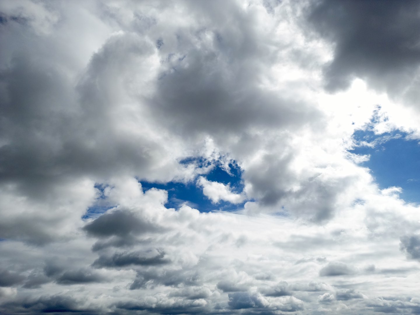 20220927153905front1_0_56868_FpBK8lLlCsZWud988UQYJbynl4-j.jpg