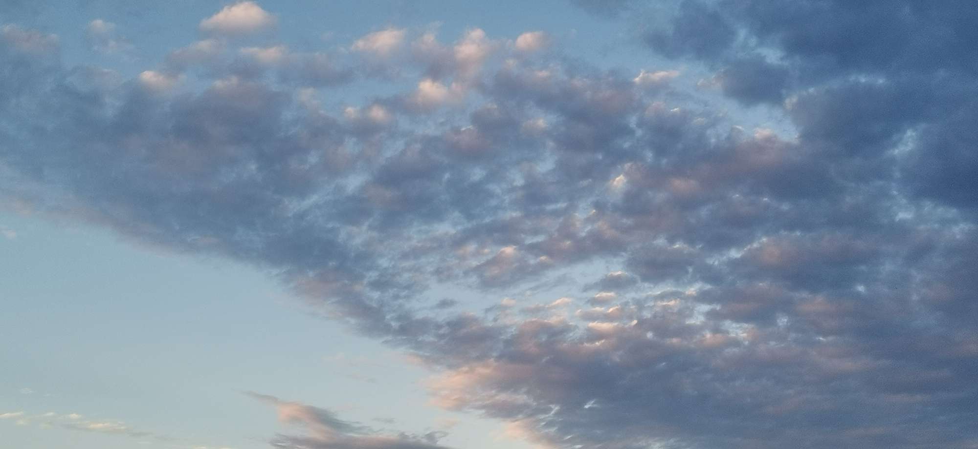 20221009054452front2_0_10610_Fr7_BlRcZZt1k24trkpkmsHq6Pt_.jpg