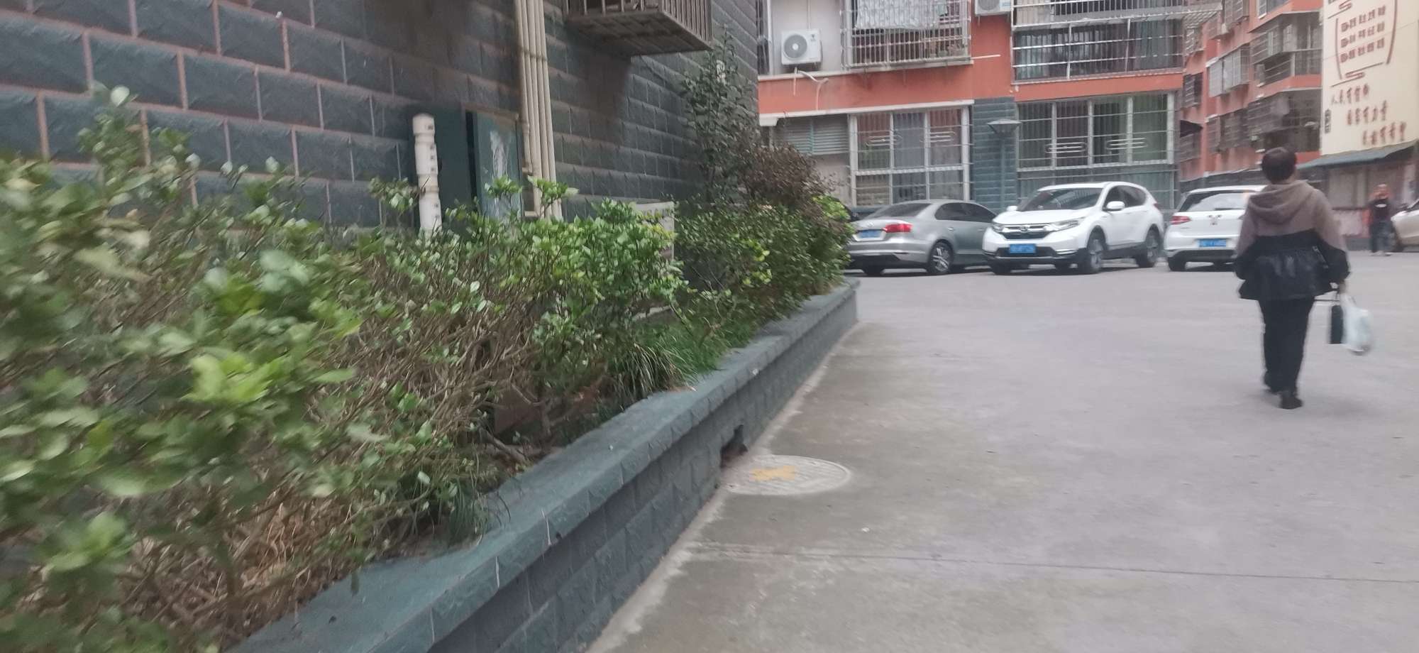 20221013051306front2_0_10610_Fl_3fs6zUc5tk_wP2C6_uDQ82Qey.jpg
