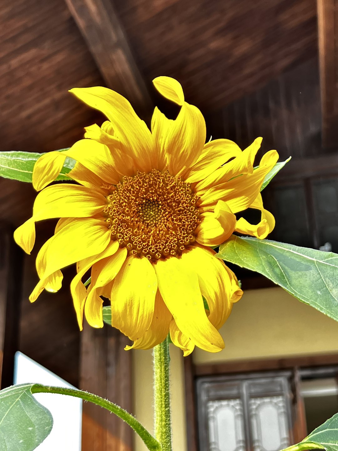20221029122533front1_0_32715_Fp-Ahhj1HOu9Oq4caLYFjRj0K3ZT.jpg