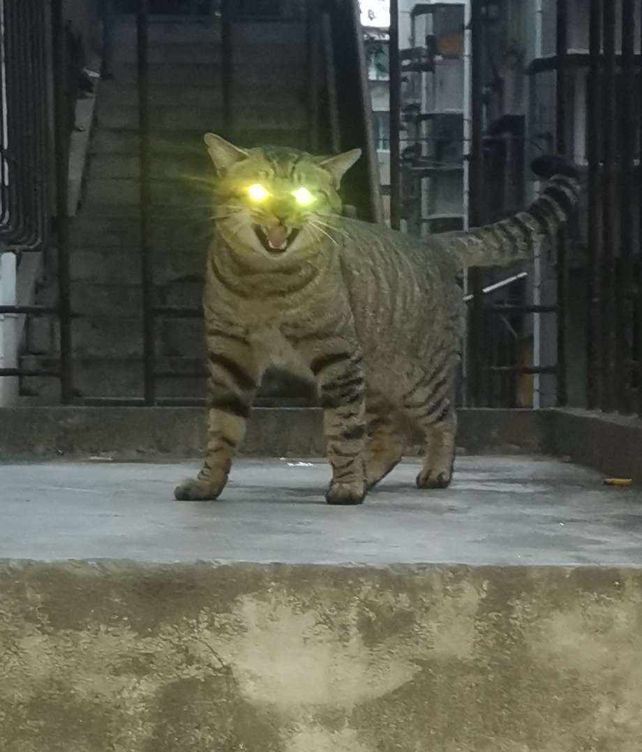 20221111183629front2_0_10610_FiThmFPs1915utl0NoWYJSFnwfCz.jpg