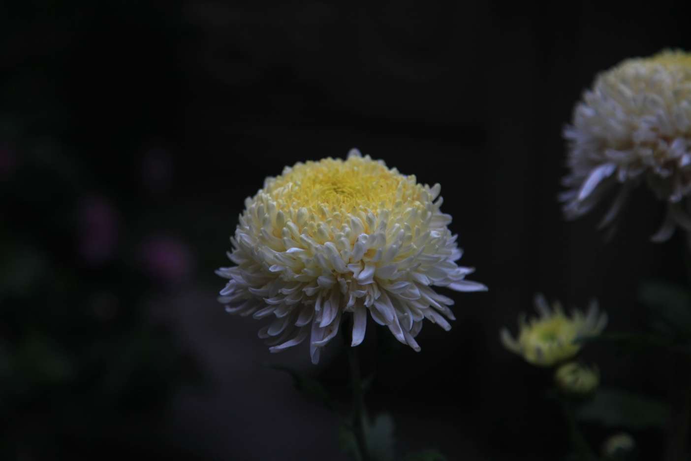 20221114072408front2_0_8860_FsdOKB7qAoRy06T8o7eUjxVJP313.jpg