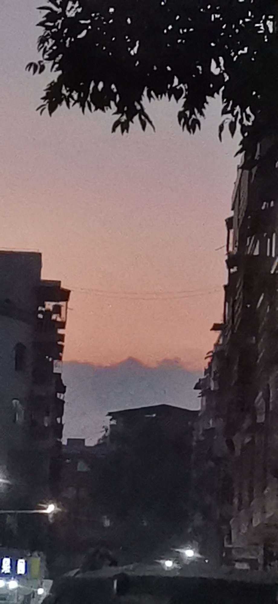 20221118184725front2_0_10610_FkArW3xLkm1rm16jWQa-q71TypeD.jpg