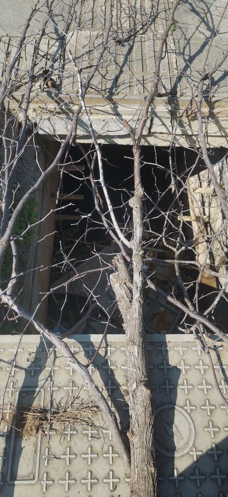 20221119184125front2_0_10610_FszpzZD7mKNNHnZiTAYqvBt2cvRv.jpg