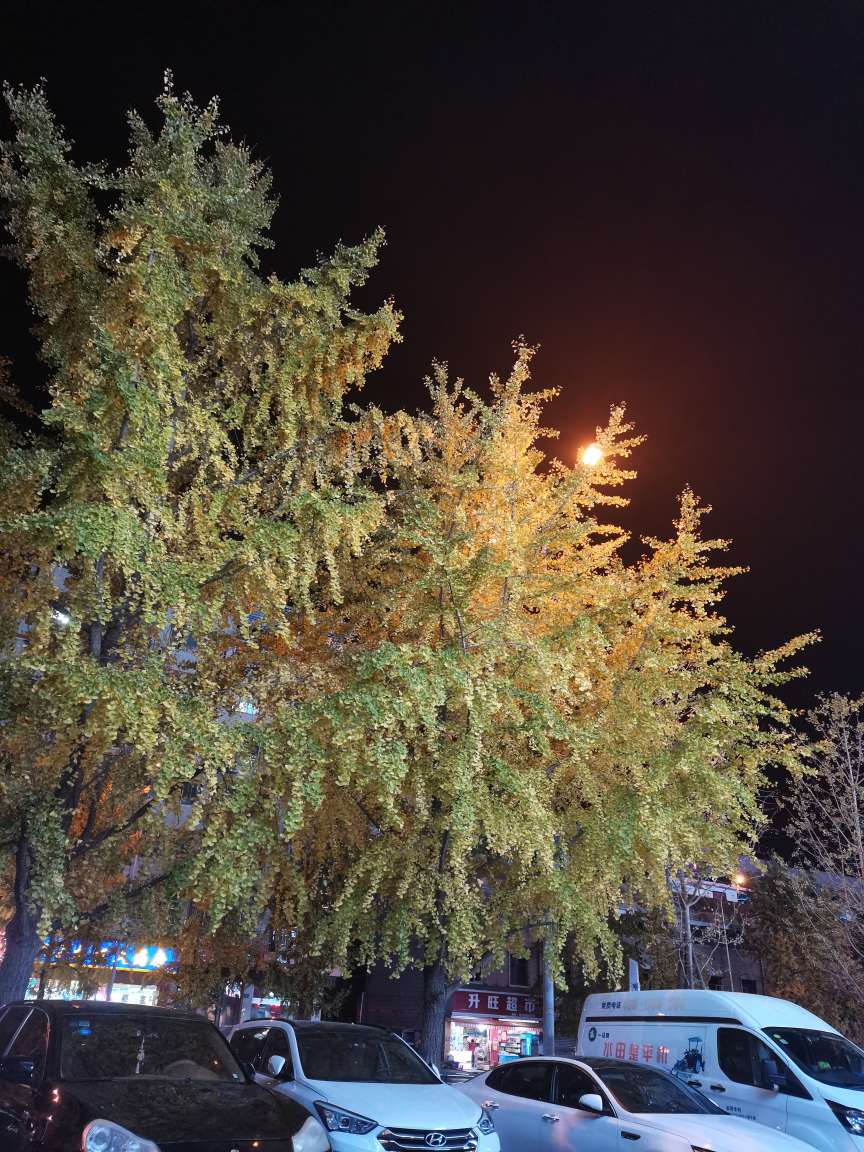 20221122170858front2_0_65344_FtmjyBK65plR6IHIzAbSebNJuXms.jpg