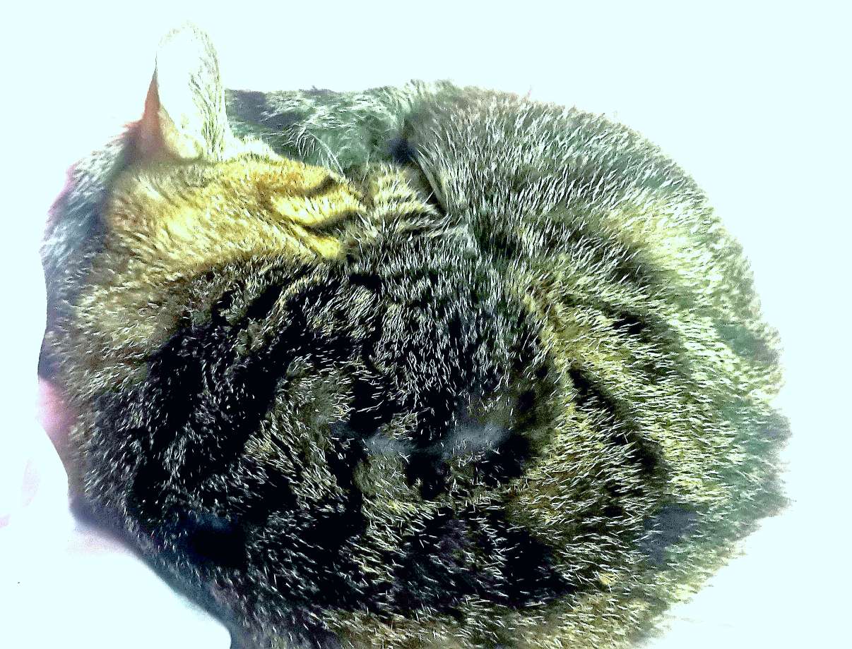 20221127064310front2_0_10610_Fnev_SWMmJClkri0feECKUiSrDgl.jpg