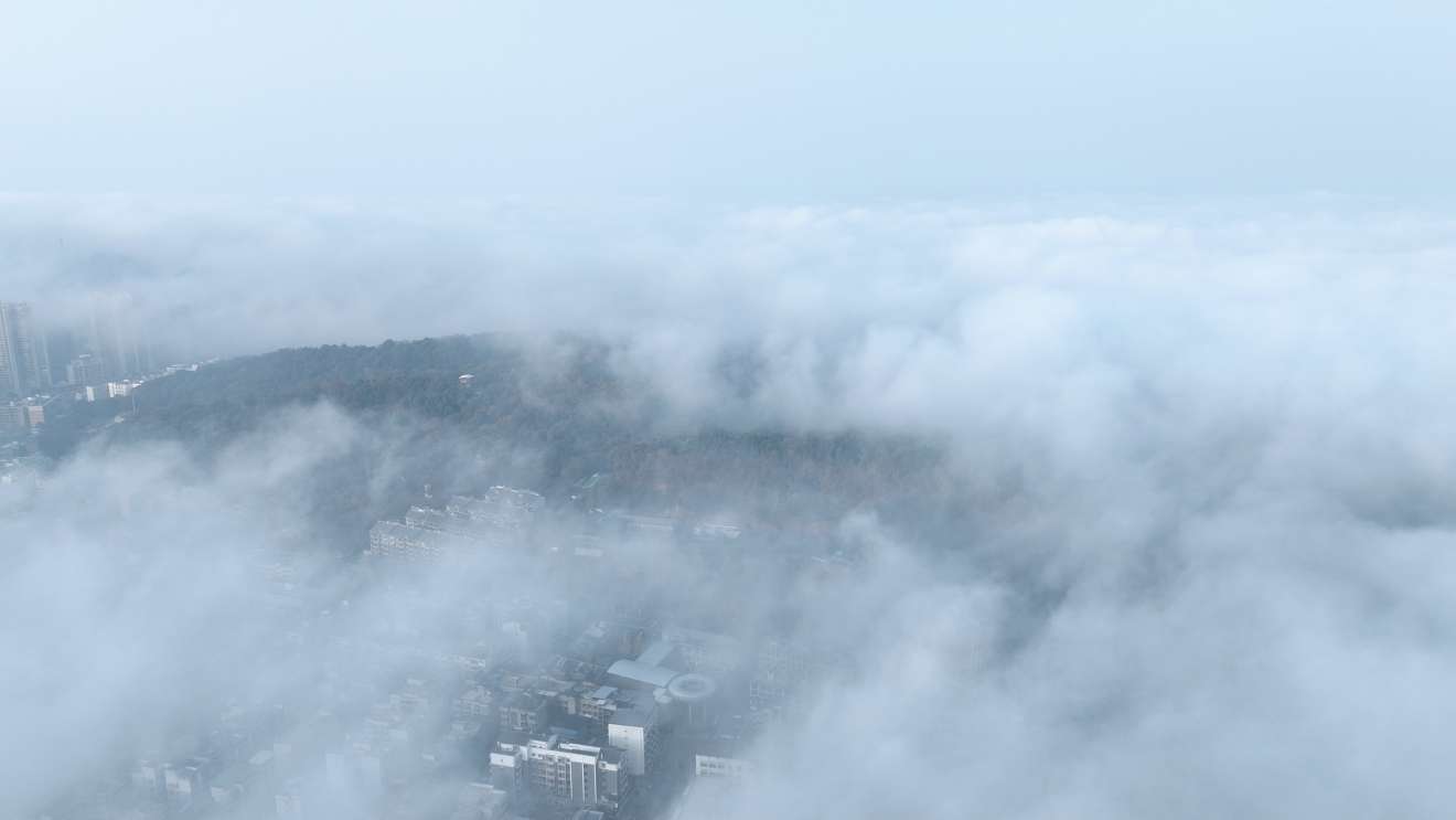 今天的雾海