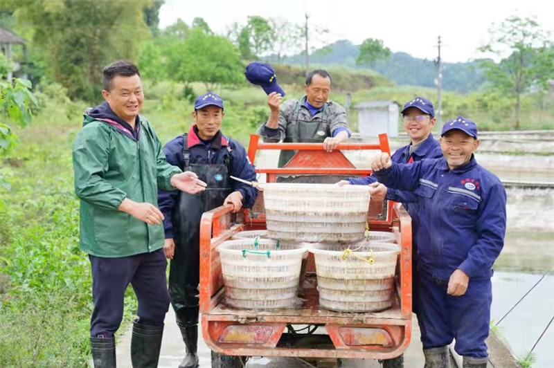 照片-李晓川和村民一起采收泥鳅.jpg