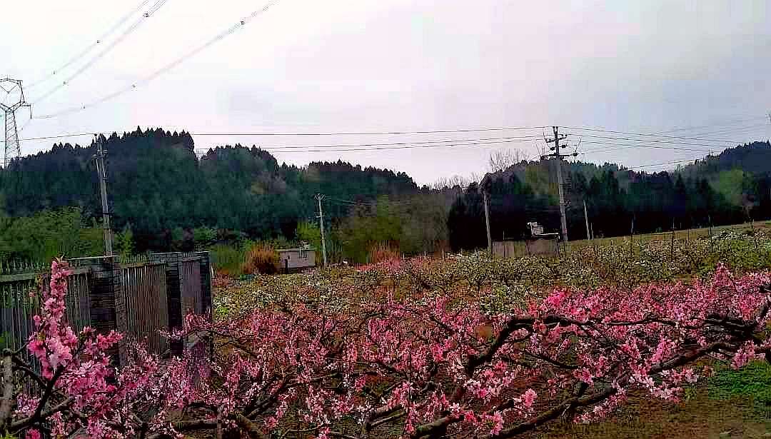 20230321191753front2_0_10610_FuRj-FVI4VKpTqelDnnGbjhR9FY_.jpg