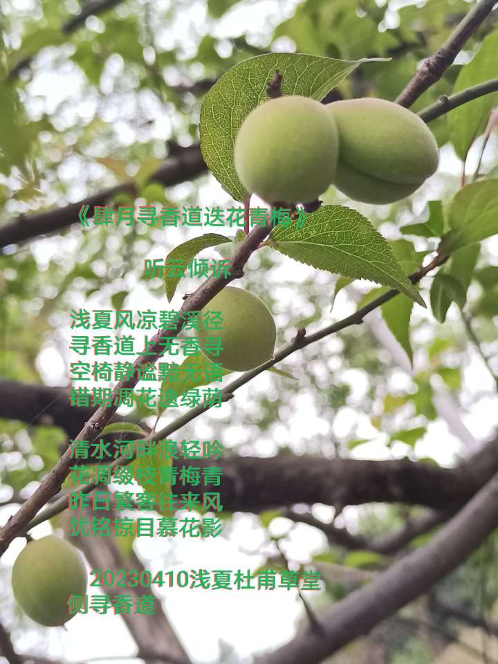 20230410191441front2_0_67899_FqQnHgoroIQFsNNvtZJa_a6MBciA.jpg