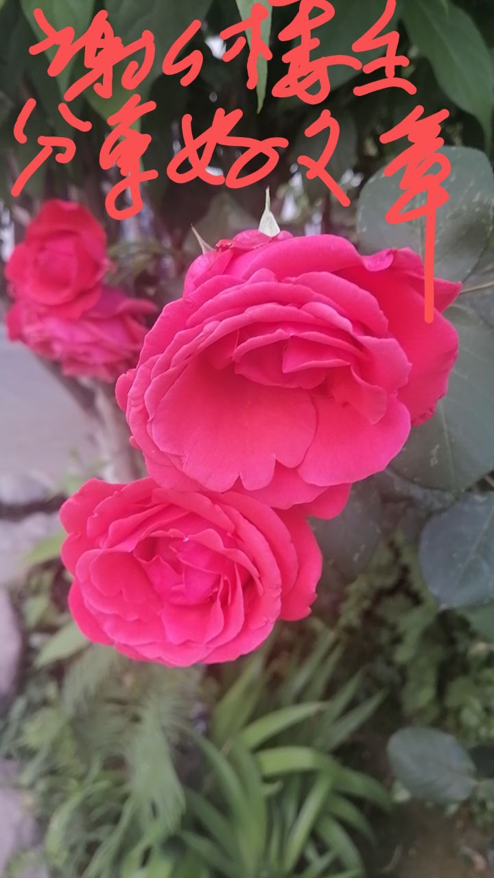 20230420083645front2_0_11199_FlV66uJcWxmKQ9EZnAmXM14Plf7r.jpg