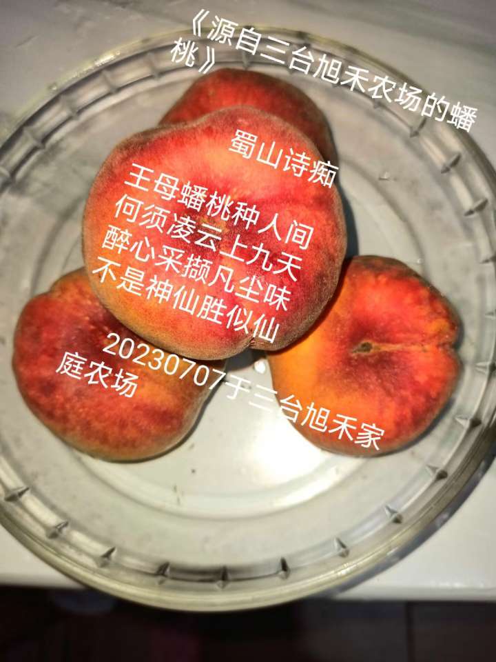 20230708004312front2_0_67899_FjGXOmqOrdLHJ2VS3ni674OI8N9m.jpg