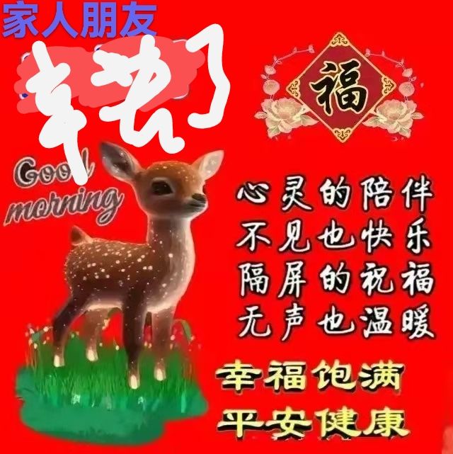 20230816155613front2_0_11199_FnN7dO12jrQLuFZ832rsrPN5bIcG.jpg