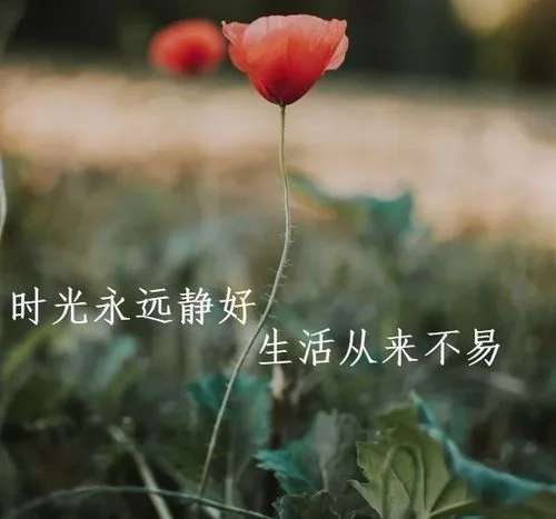 20230907025822front2_0_4387_FqoKqHWQnOzk6Rg_O8lBA_6nK2la.jpg