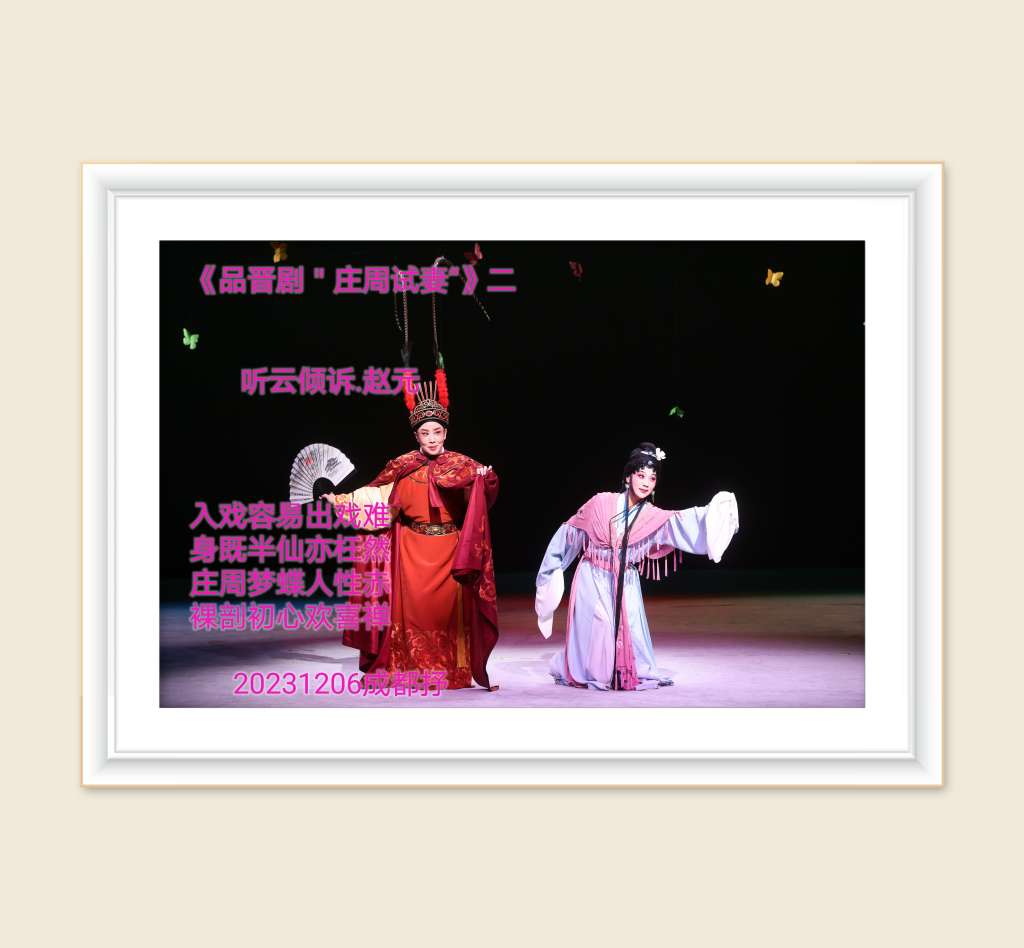 《品晋剧＂庄周试妻“》二

听云倾诉.赵元
