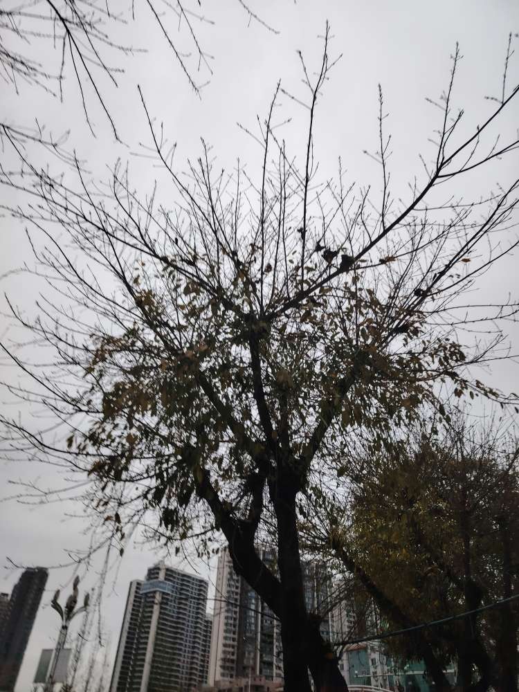 20240406231423front2_0_10610_Fm0KfzUzbfrmf2lRyQxW2GcWcTCQ.jpg