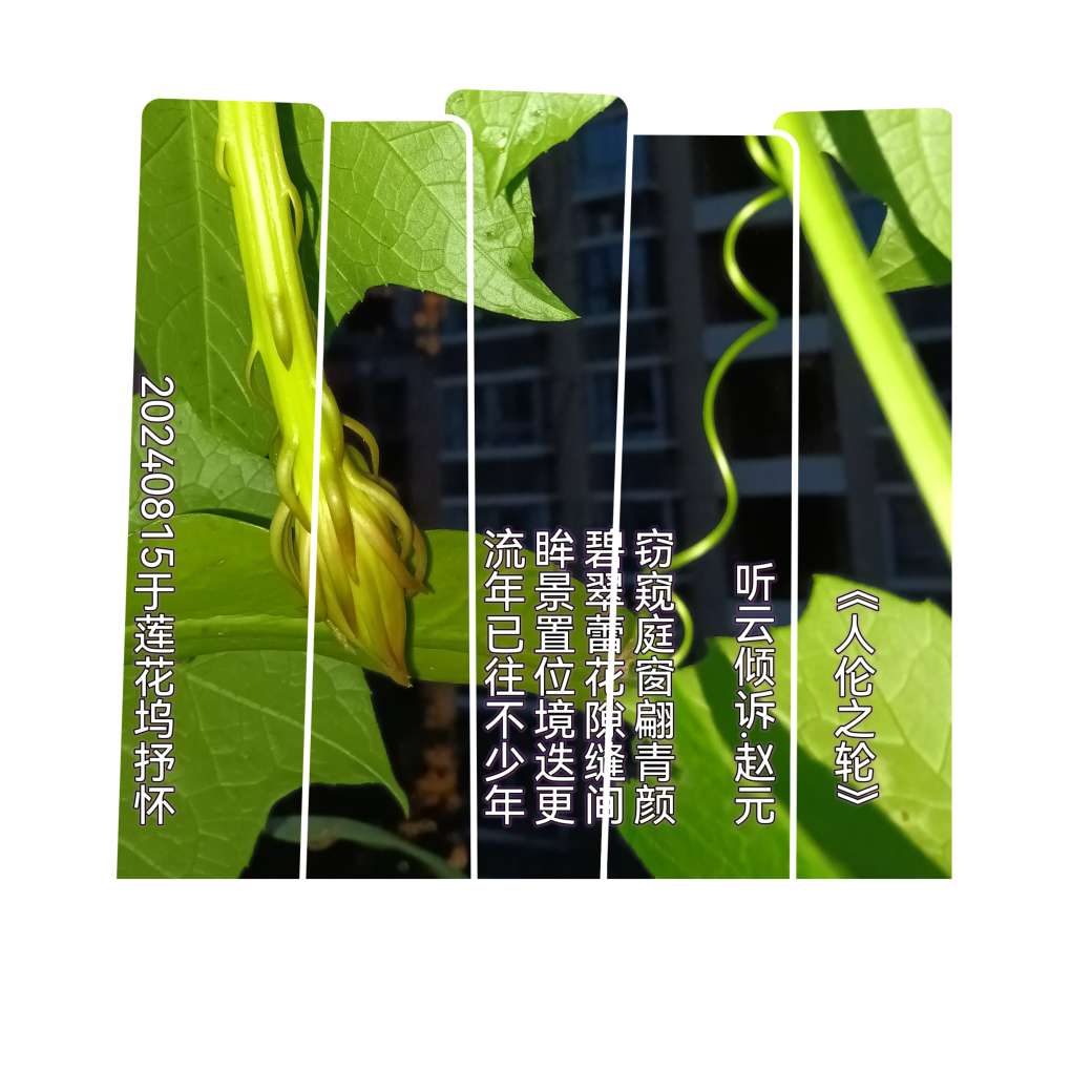 20240815222618front2_0_67899_Fn6IUpDbuPfu3w9VVWcTHtIK1vlp.jpg